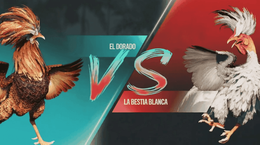 vip345 Plataforma Jogos